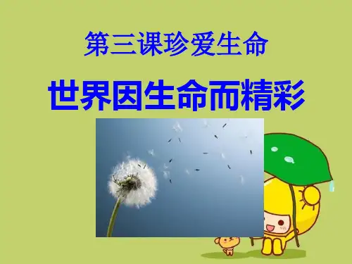《世界因生命而精彩》珍爱生命4精品 课件 