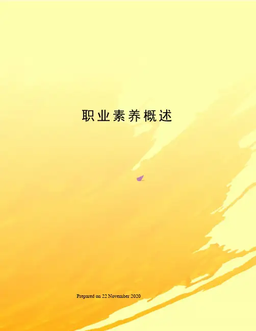 职业素养概述