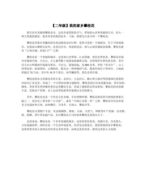 【二年级】我的家乡攀枝花