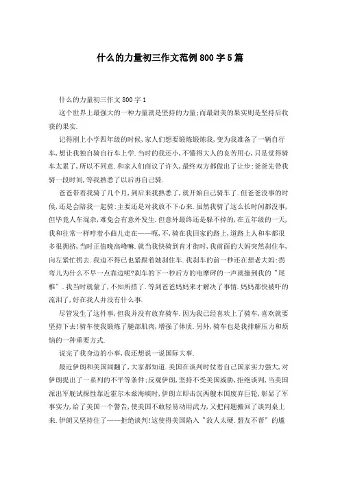 什么的力量初三作文范例800字5篇