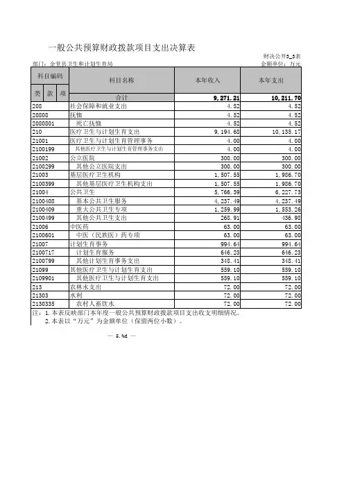 一般公共预算财政拨款项目支出决算表