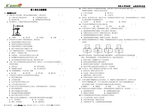 21世纪教育网精品模板
