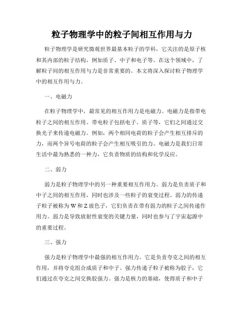 粒子物理学中的粒子间相互作用与力