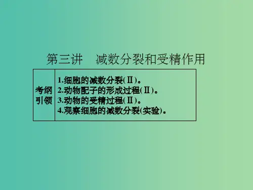 高考生物一轮总复习 第四单元 第三讲 减数分裂和受精作用课件