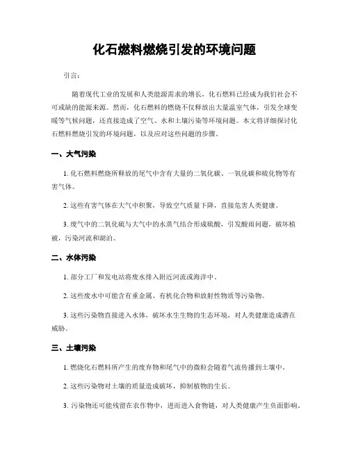 化石燃料燃烧引发的环境问题