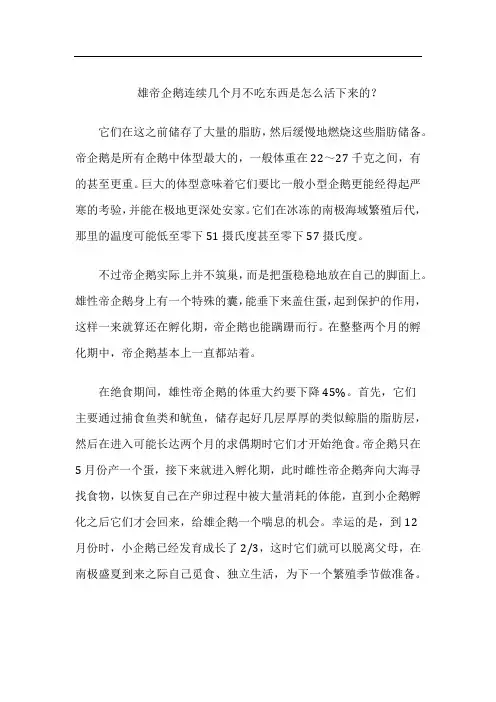 雄帝企鹅连续几个月不吃东西是怎么活下来的