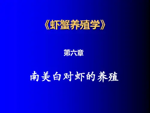 南美白对虾养殖
