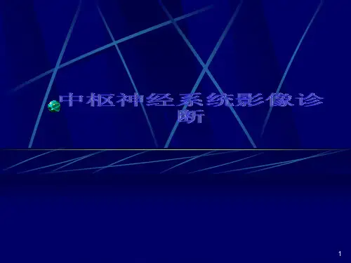 中枢神经系统影像诊断
