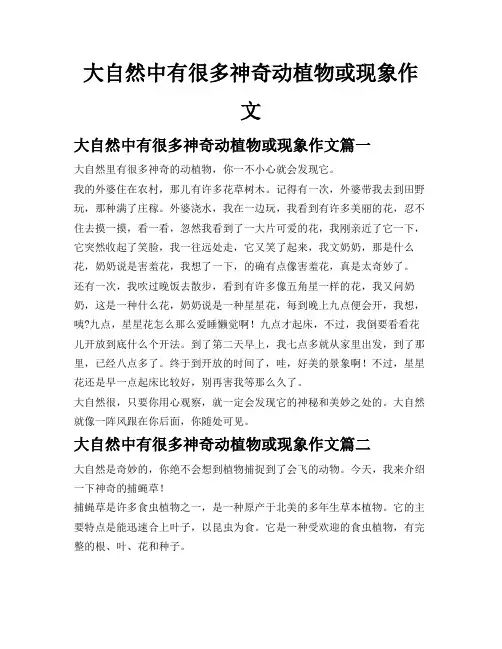 大自然中有很多神奇动植物或现象作文