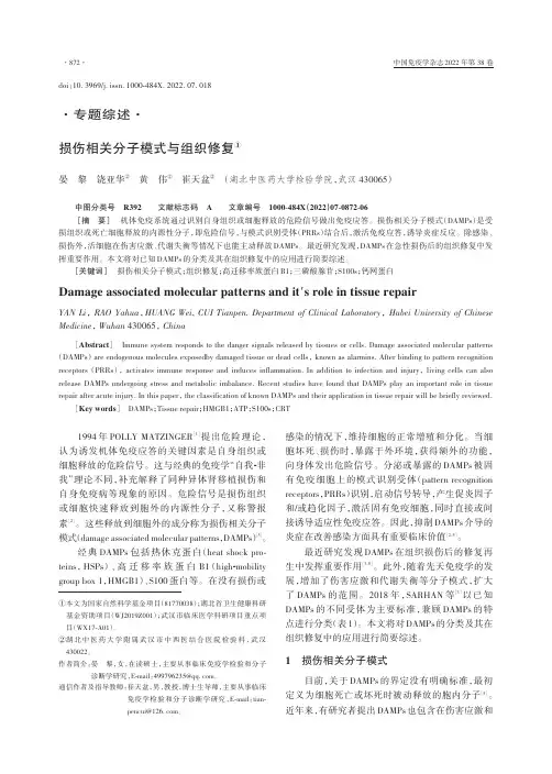 损伤相关分子模式与组织修复