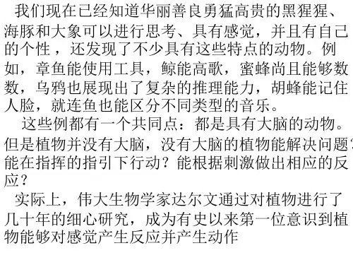 植物生长素 课件(共22张PPT)