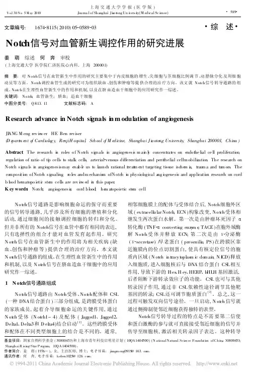 Notch信号对血管新生调控作用的研究进展