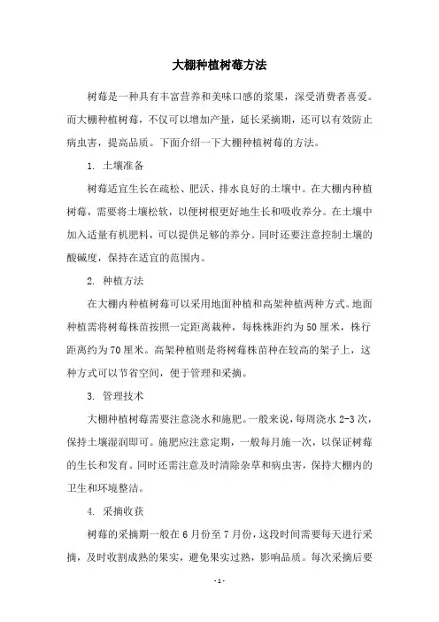大棚种植树莓方法