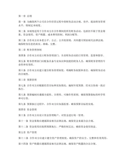 两个公司合作财务管理制度