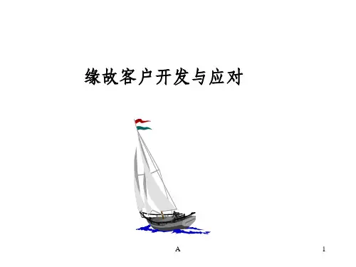 保险公司：缘故客户开发与应对