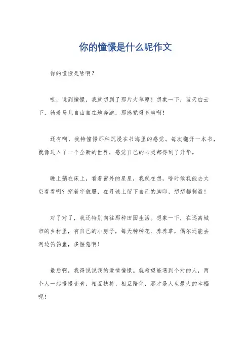 你的憧憬是什么呢作文