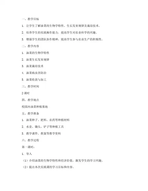 大学生关于油菜栽培的教案
