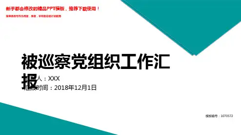 【2018年】被巡察党组织工作汇报【精品PPT模板幻灯片】