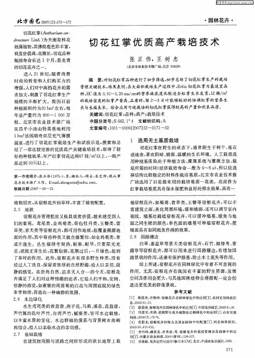 切花红掌优质高产栽培技术