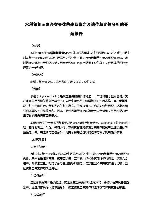 水稻匍匐茎复合突变体的表型鉴定及遗传与定位分析的开题报告