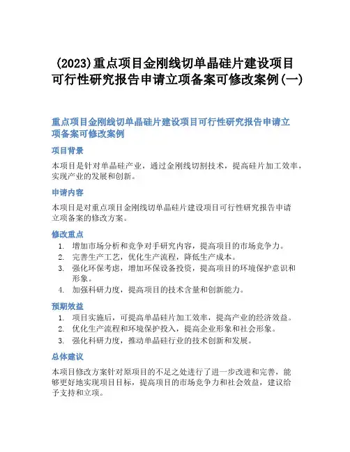 (2023)重点项目金刚线切单晶硅片建设项目可行性研究报告申请立项备案可修改案例(一)