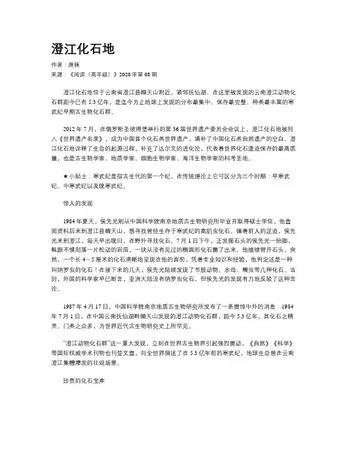 澄江化石地