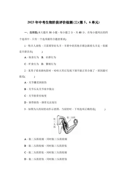 2023年中考生物阶段评价检测(三)(第5、6单元)
