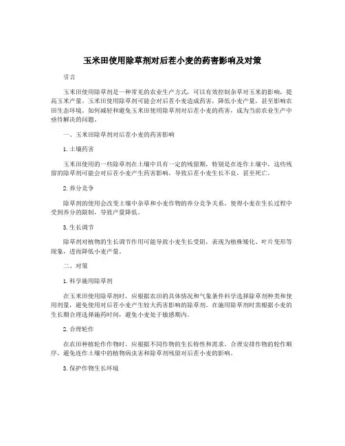 玉米田使用除草剂对后茬小麦的药害影响及对策