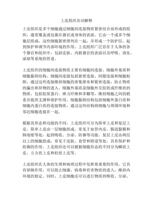 上皮组织名词解释