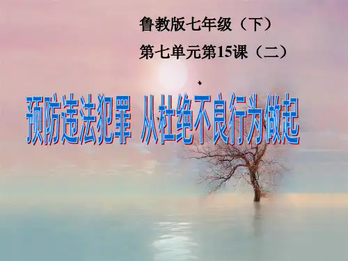 鲁教版抵制不良诱惑PPT精品课件