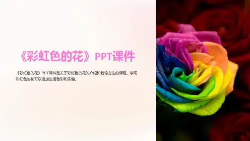 《彩虹色的花》课件