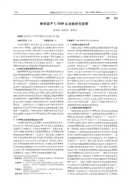 转录因子CEBPβ功能进展