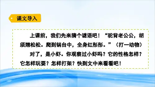 三年级下册语文课件-15小虾  人教部编版(共20张PPT)[优秀课件资料]