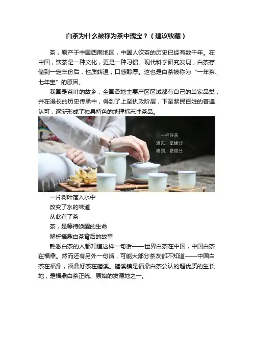 白茶为什么被称为茶中瑰宝？（建议收藏）