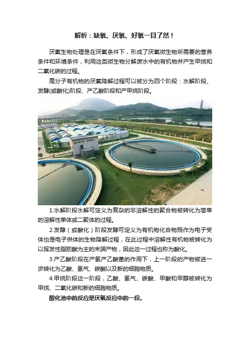 解析：缺氧、厌氧、好氧一目了然！