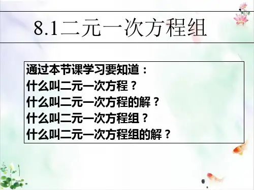 《二元一次方程组》优秀ppt课件