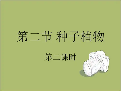 人教版七年级上册生物 课件3.1.2-种子植物-第2课时