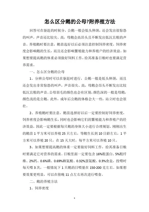 怎么区分鹅的公母附养殖方法