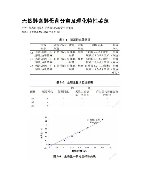 天然酵素酵母菌分离及理化特性鉴定