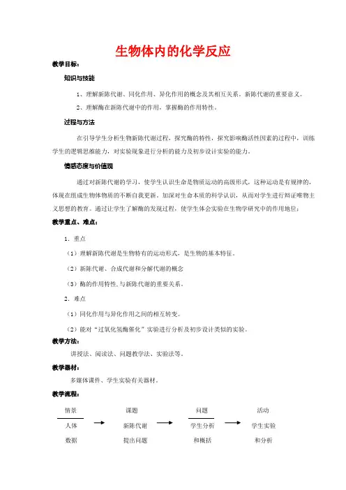 高中生物《生物体内的化学反应》教案3沪科版第一册