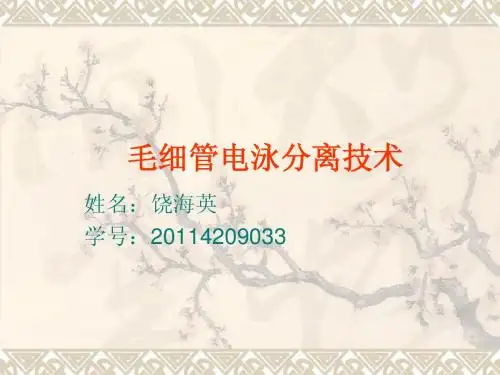 毛细管电泳分离技术