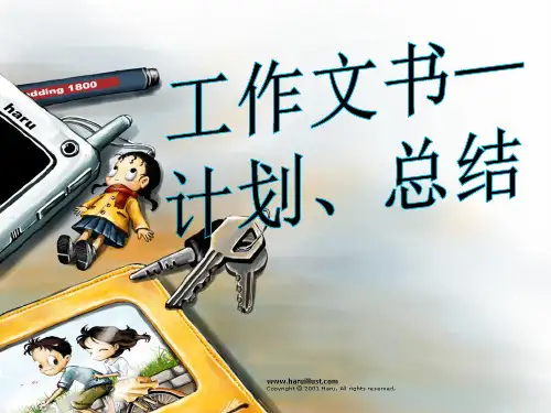 计划总结_应用文写作_经典教案(1)