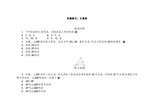 人教版八年级数学上册专题练习三角形