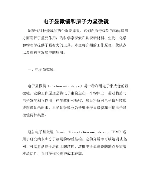 电子显微镜和原子力显微镜