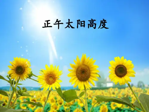 正午太阳高度的应用
