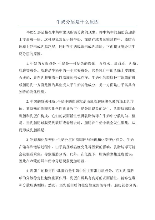 牛奶分层是什么原因
