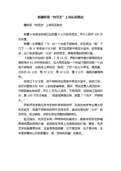 新疆惊现“肉灵芝”上岸后还跳动