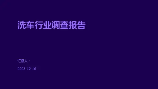 洗车行业调查报告