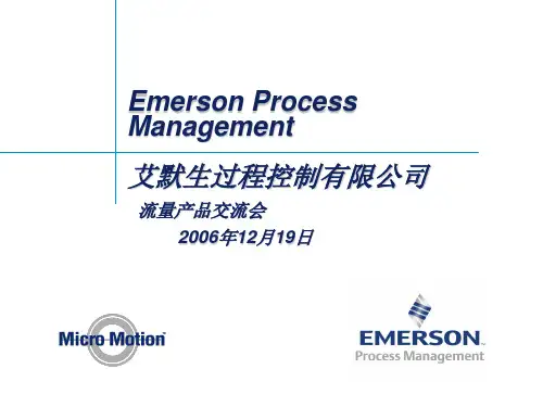 艾默生过程控制流量计技术交流