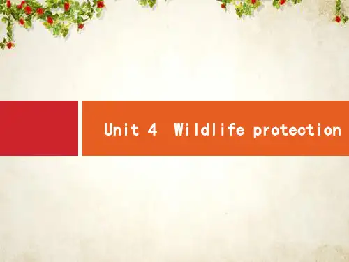 2020高考英语(人教版)总复习课件：必修2 Unit 4 Wildlife protection 